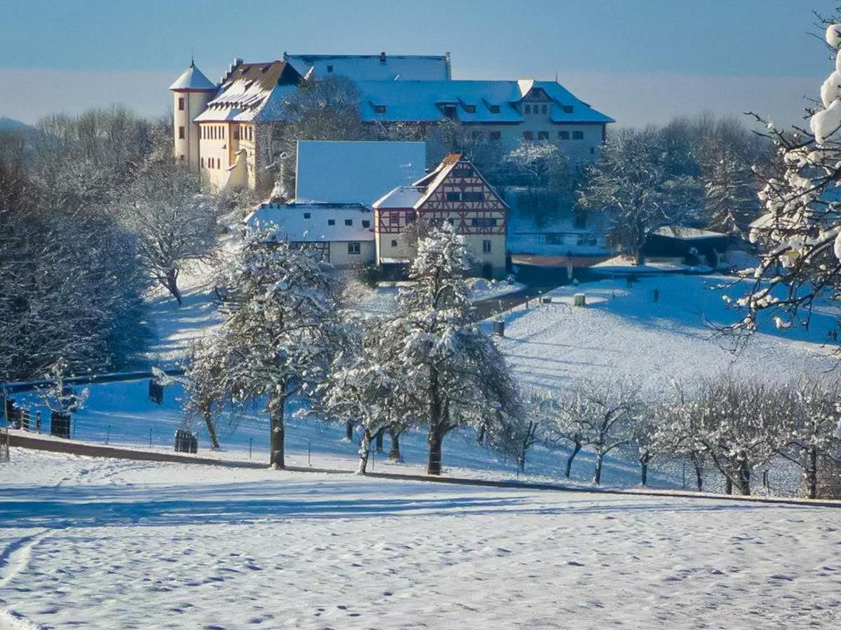 Hohenfels  Hotel & Tagungszentrum Schloss Hohenfels מראה חיצוני תמונה
