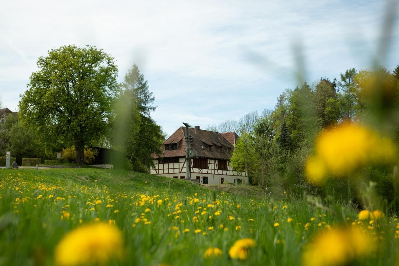 Hohenfels  Hotel & Tagungszentrum Schloss Hohenfels מראה חיצוני תמונה