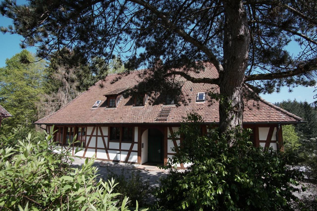 Hohenfels  Hotel & Tagungszentrum Schloss Hohenfels מראה חיצוני תמונה