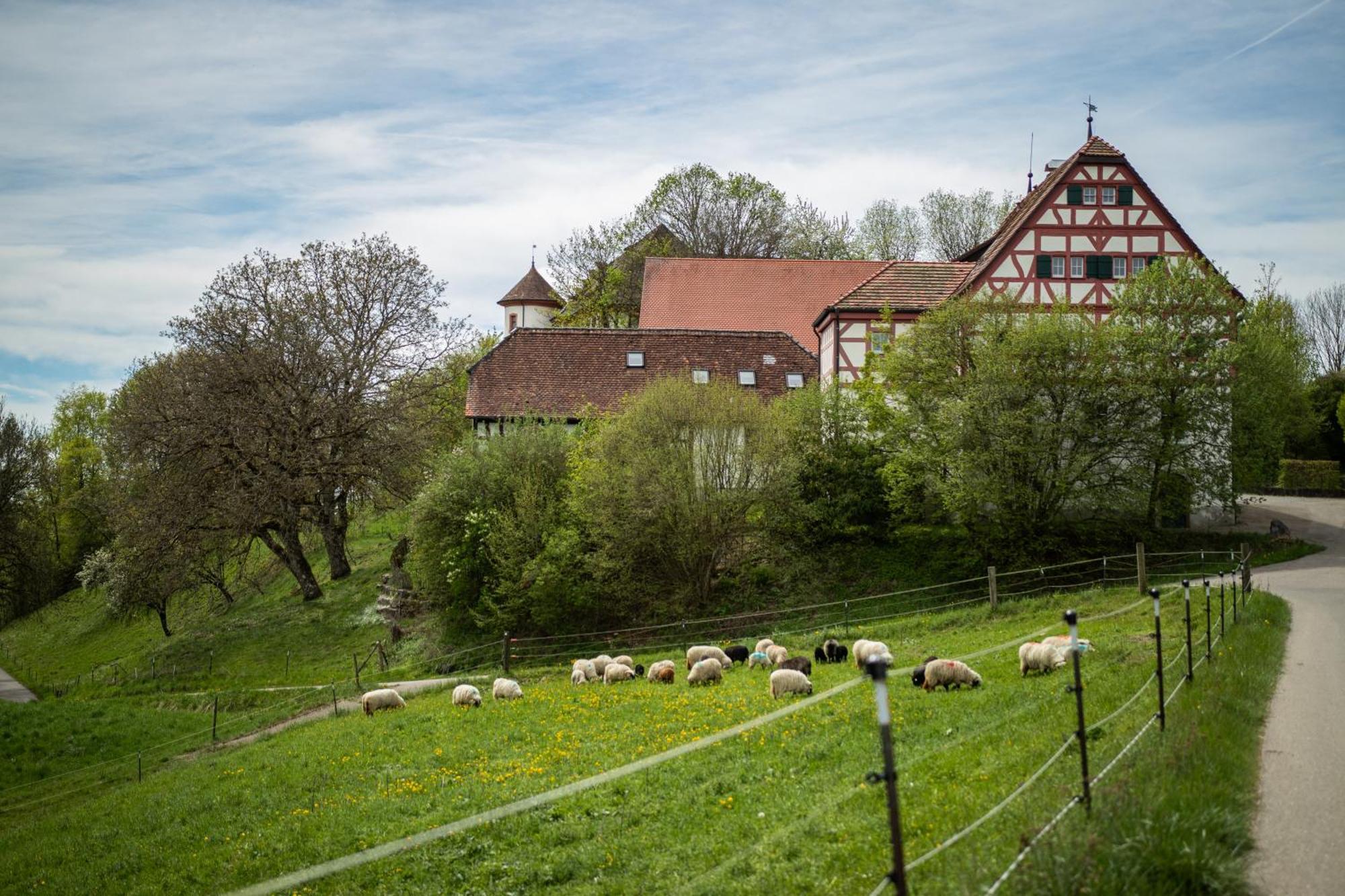 Hohenfels  Hotel & Tagungszentrum Schloss Hohenfels מראה חיצוני תמונה